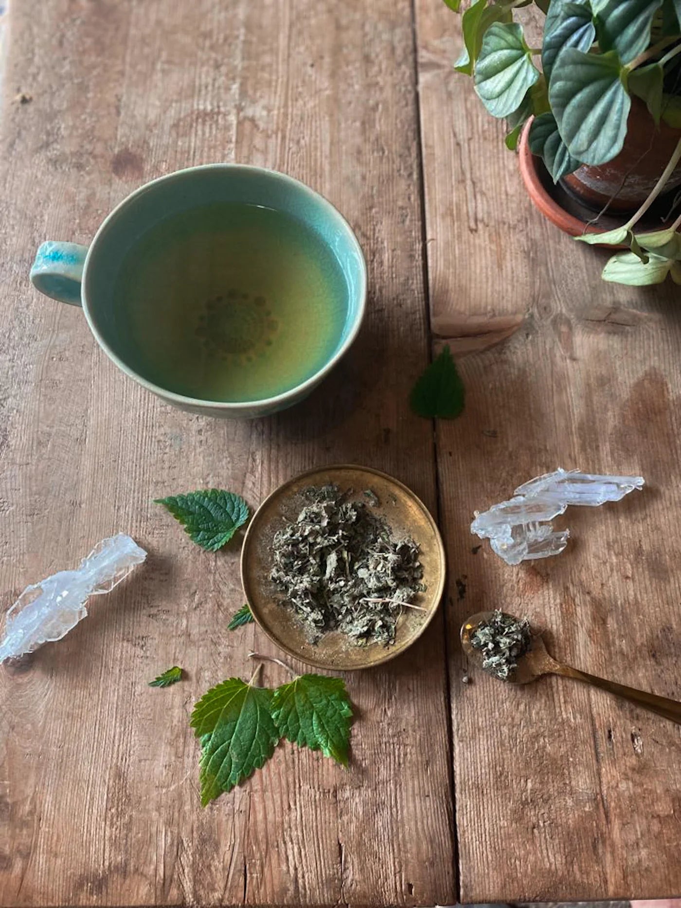 Womb Tea Nourish + Empower