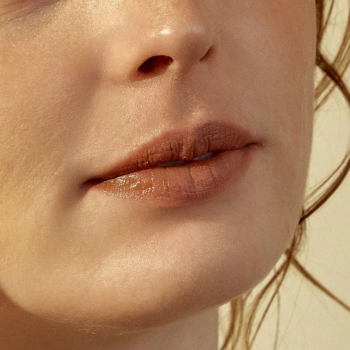Lip Colour 005 Glossy Brown
